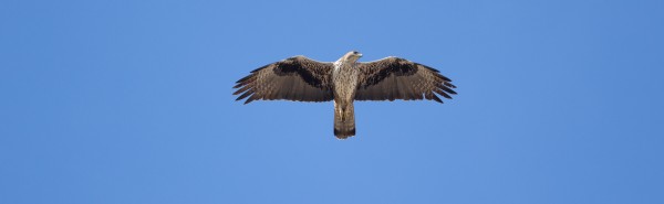 Parc Natural del Garraf  a la tardor